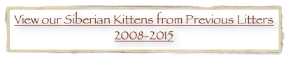 View our Siberian Kittens from Previous Litters  2008-2015