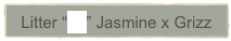 Litter “Z4” Jasmine x Grizz 